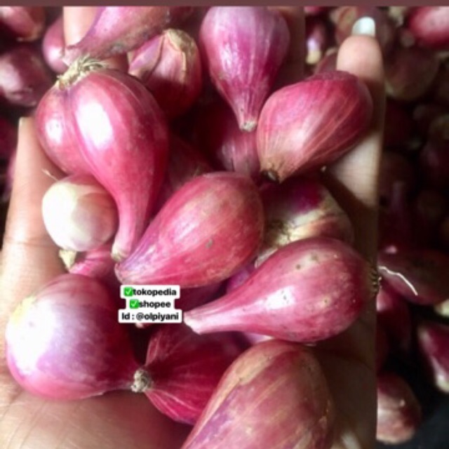 Bawang merah sedang 500gram