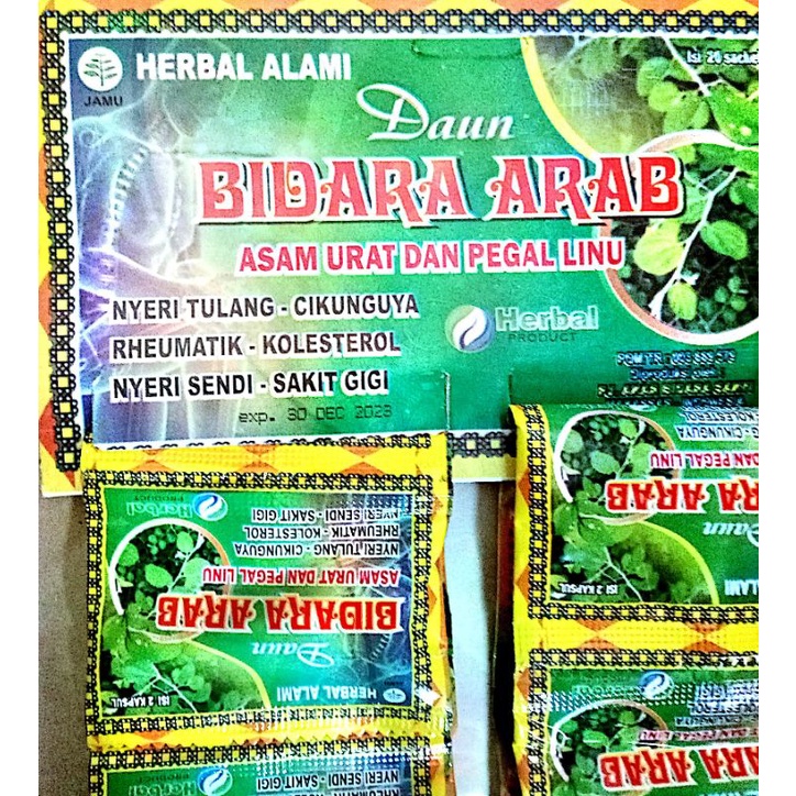 Kapsul Daun Bidara Arab Asli Obat Ampuh Asam urat Nyeri Tulang