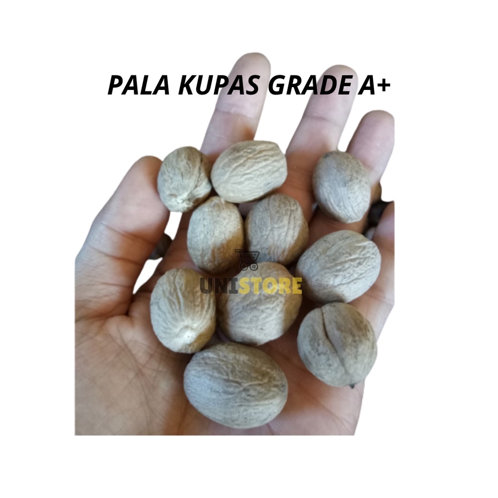 

BIJI PALA KUPAS 1KG SUPER