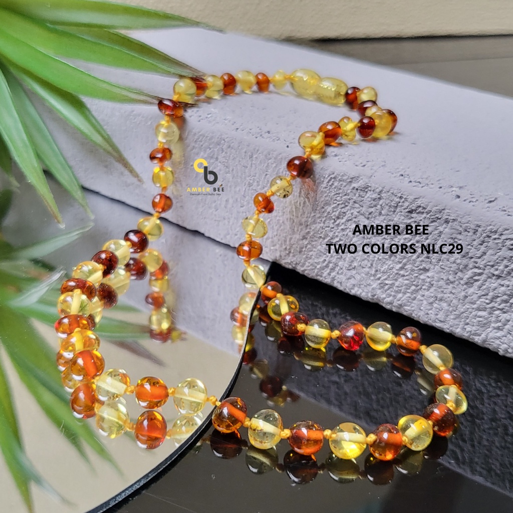 Kalung Anak Amber Premium Glossy Lime Cognac BGLC29 By Amber Bee