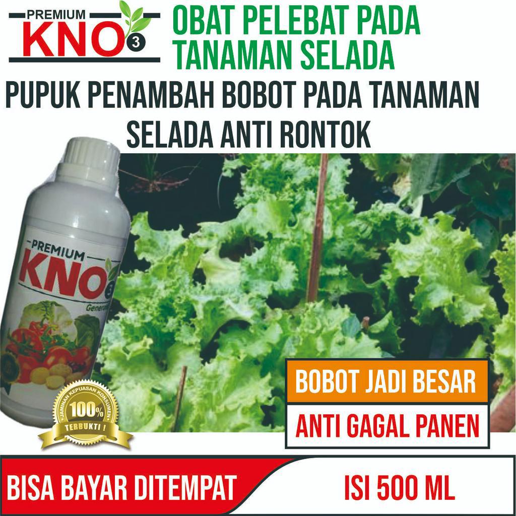 Promo Pupuk Tanaman Hidroponik Terbaik Anggur, Tomat, Cabe/cabai, Kangkung, Seledri, Selada dll – Ob