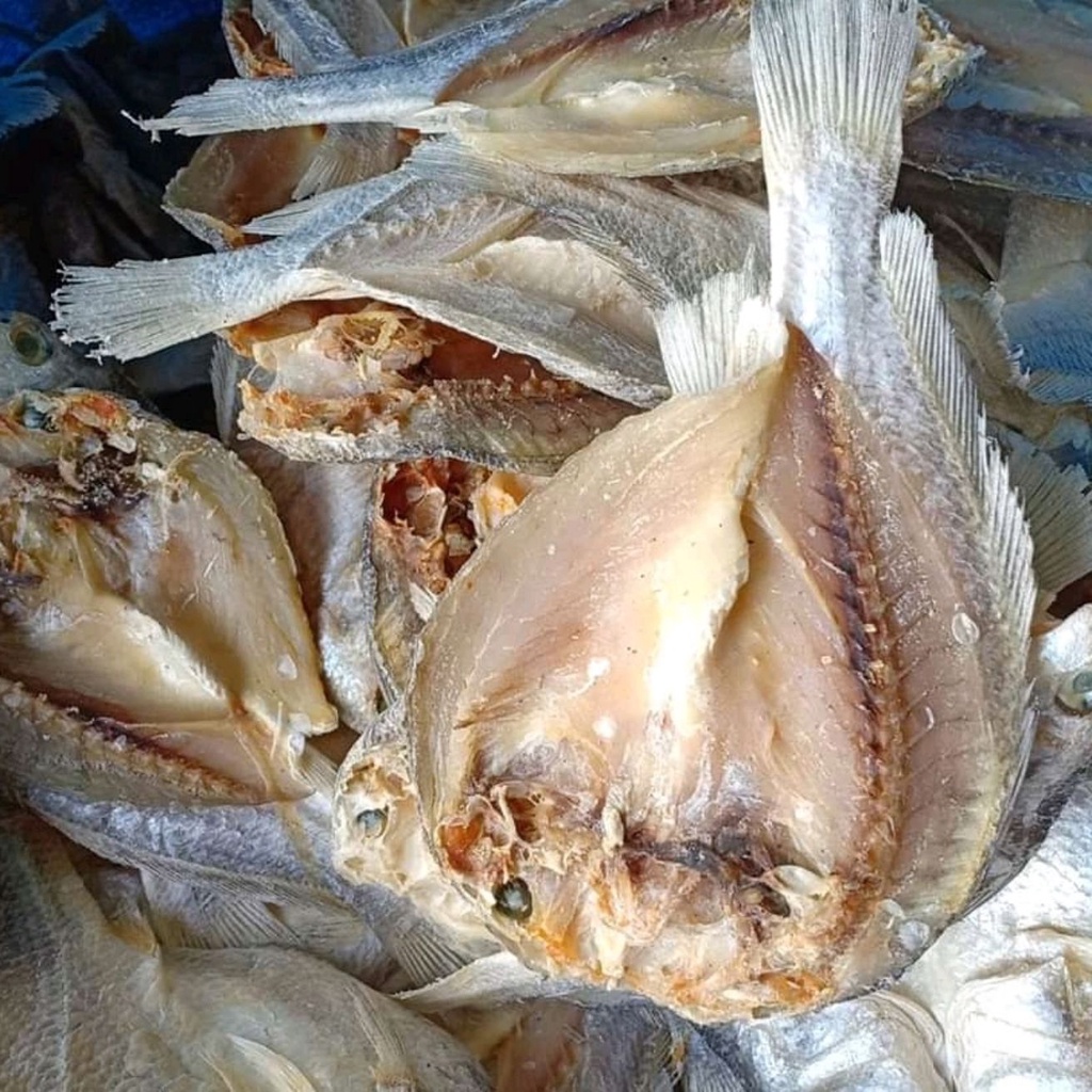 

Ikan Asin Samge 100gr