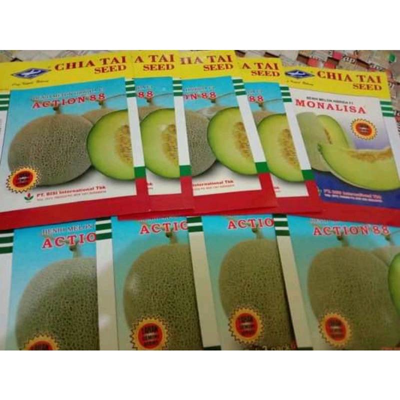 Benih MELON ACTION 88 isi 550butir anti virus gemini
