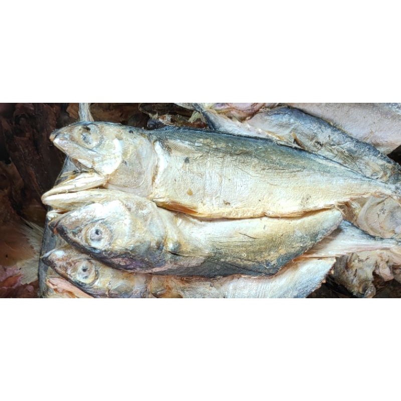 

Ikan Asin belah / Ikan asin kembung / Ikan peda / Ikan laut gurih murah ( 500g )