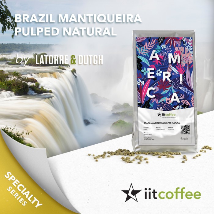 

Arabica Green Beans - Brazil Mantiqueira by Lattore & Dutch - 1Kg