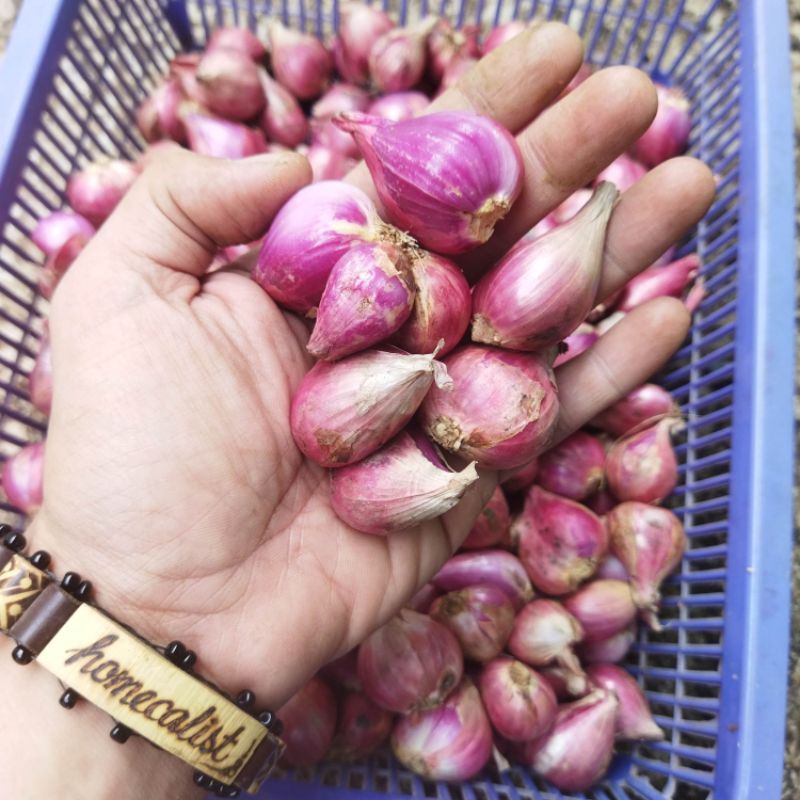 Bawang Merah Super 1kg - Bawang Merah Brebes