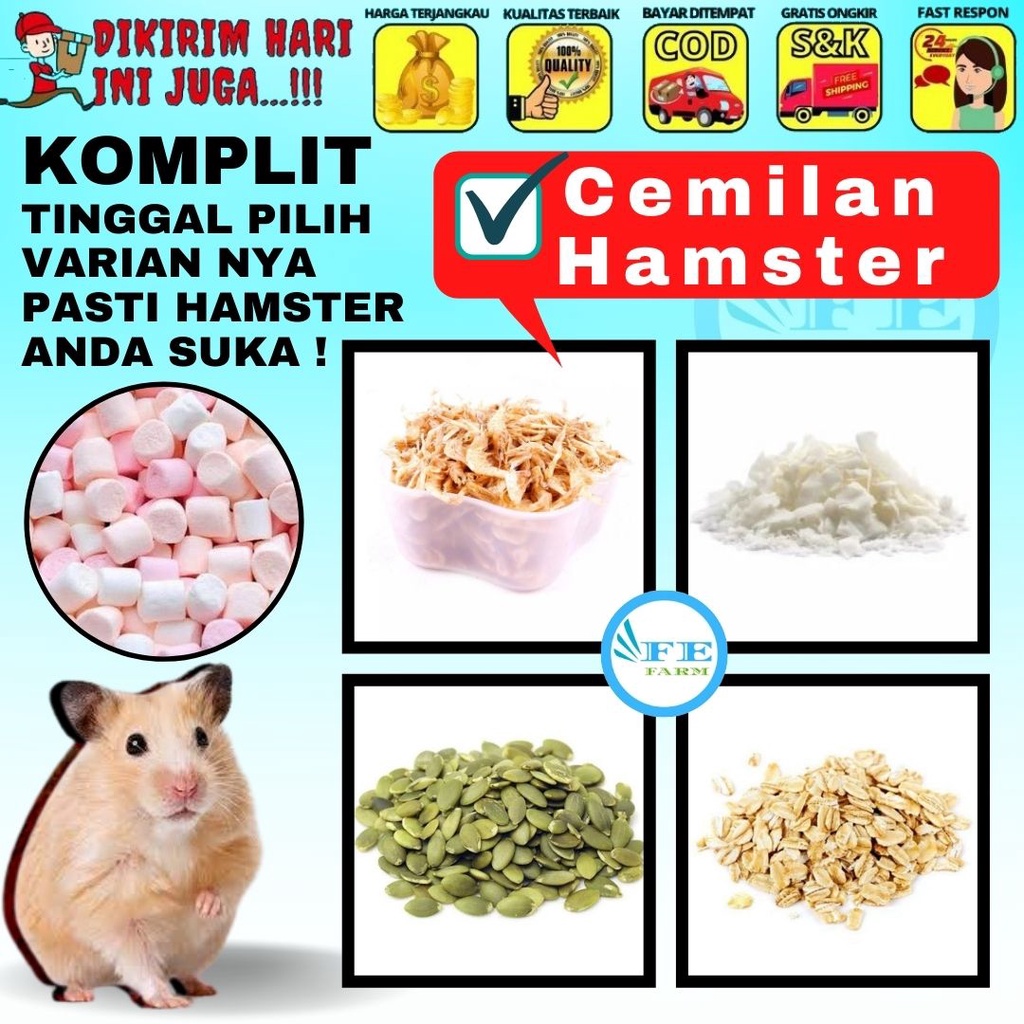 10gram Seeds, Grains, Herbs Treat Hamster &amp; Gerbil FEFARM