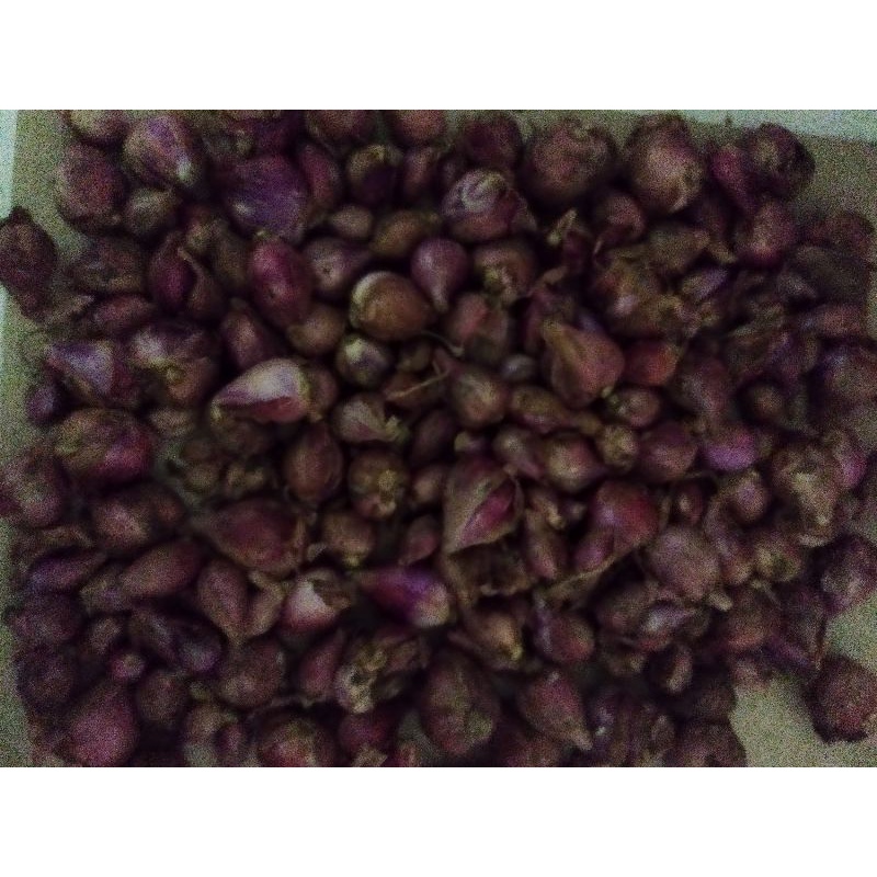 

BAWANG MERAH