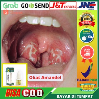 Propolis Sm Brazil 1001 Khasiat Propolis Untuk Kesehatan