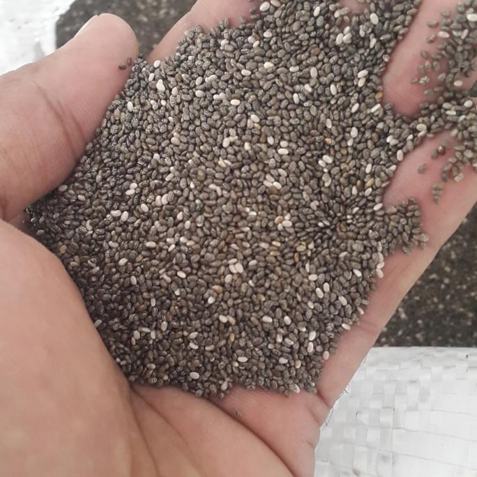

premium organic chia seed 1kg