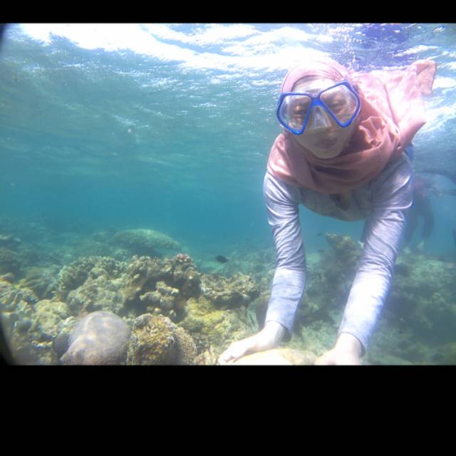 inten.nibras