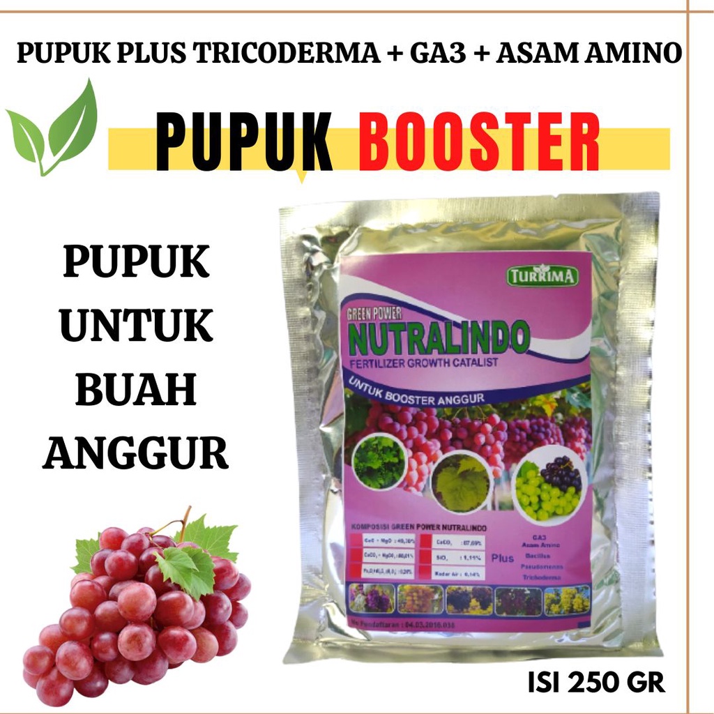 Jual Booster Anggur Pupuk Organik, Pupuk Anggur Masa Pembuahan Plus ...