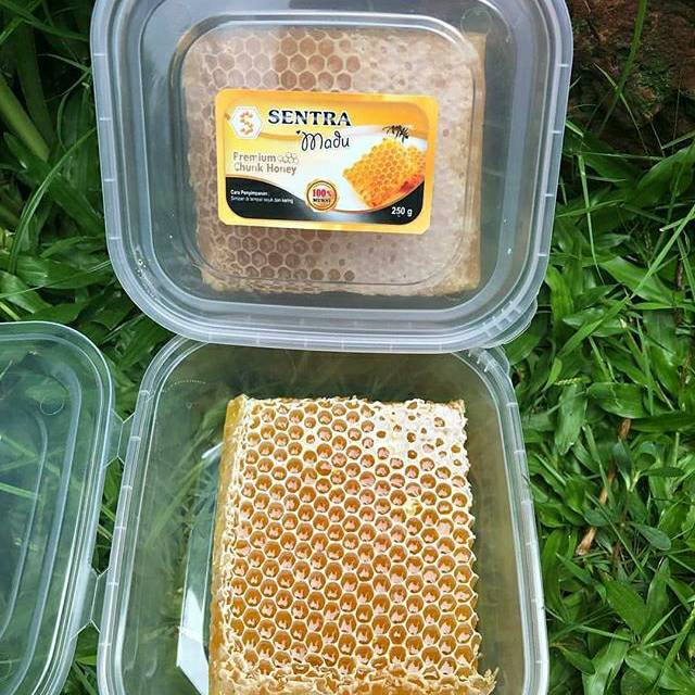 

SENTRA MADU, sarang madu PREMIUM 250 g