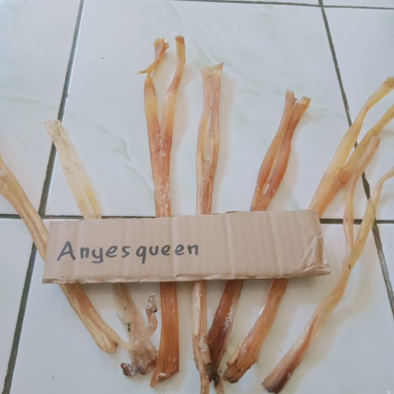 

Otot kaki sapi kering/Urat sapi/urat kali sapi