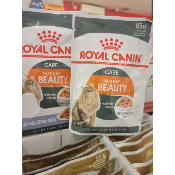 Cat Food Royal canin sachet Beauty jelly 85g