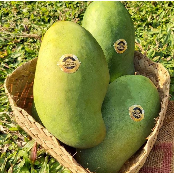 

Mangga Alpukat/Mangga Arumanis 143 (Fresh Mangoes) - Grade Jumbo isi 12 (berat per dus 7 kg-an)