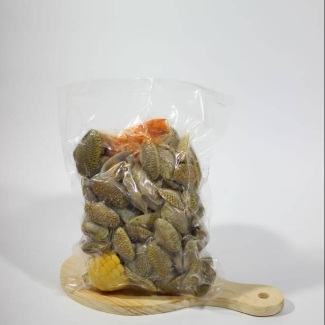 

Kerang Batik