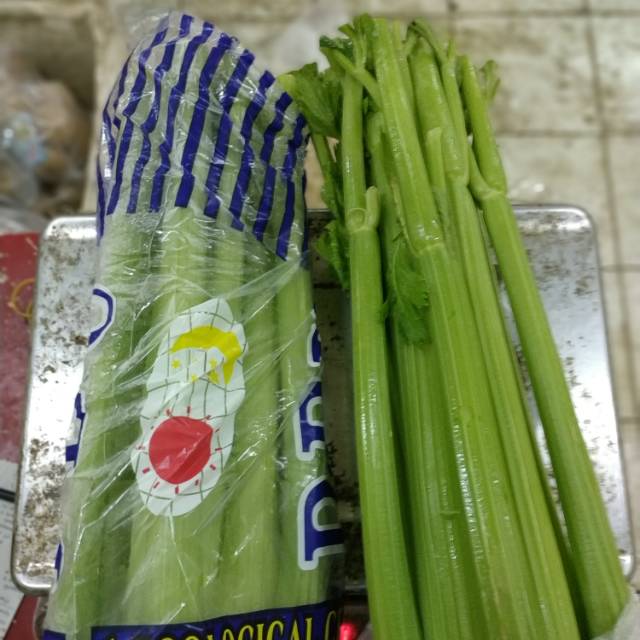 

Celery Stik Import /kg