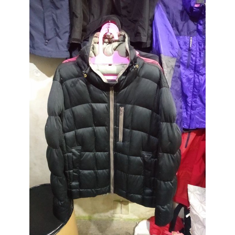 Jaket bulu angsa Lacoste