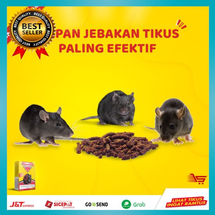 Jual Racun Tikus Ramtus Umpan Jebakan Tikus Paling Efektif 50 Gram