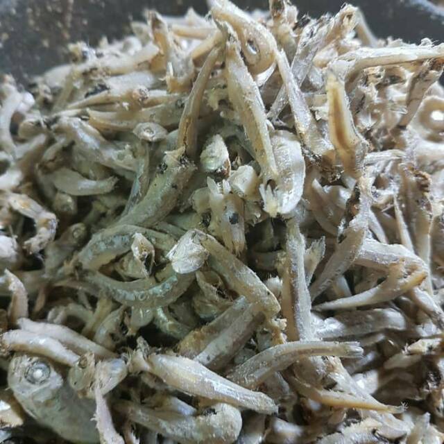 

Teri jengki