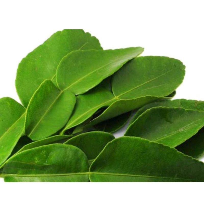 

Daun Jeruk Purut segar