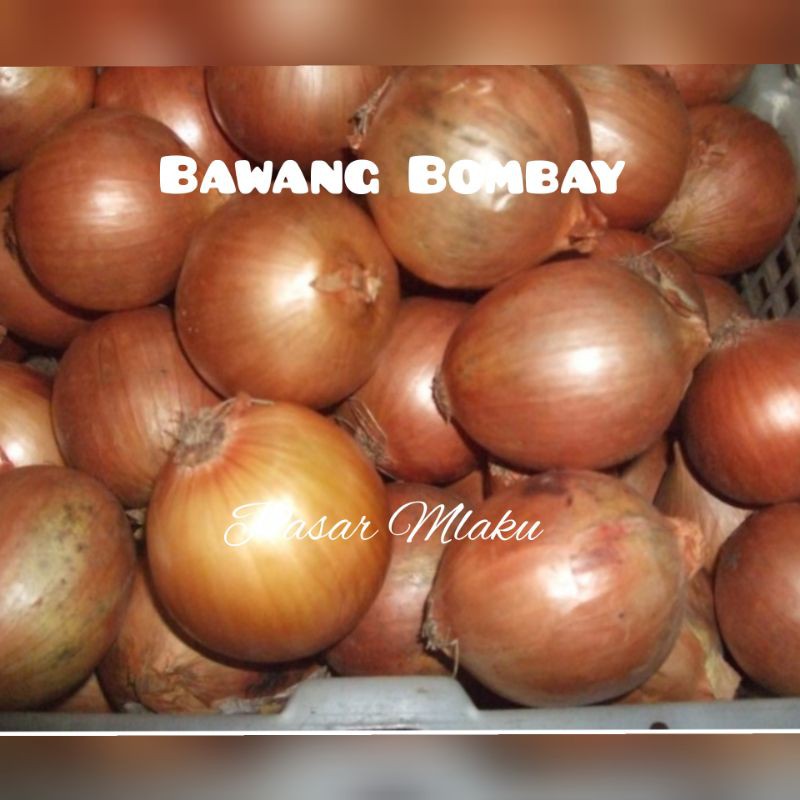 

BAWANG BOMBAY / BOMBAI