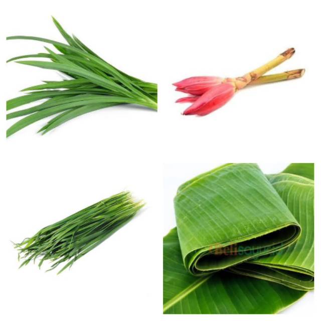 

Daun Pandan, Daun Pisang, Kecombrang, Kucai 1 ikat