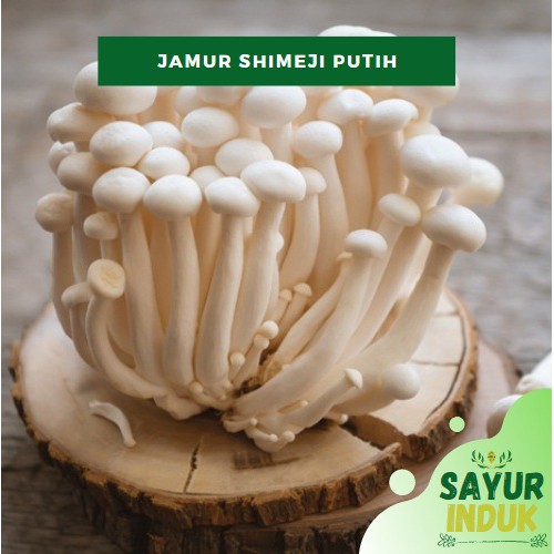 

Sayur Induk - Jamur Shimeji Putih Per Pack 150 Gram Fresh Grade A White Shimeji Mushroom