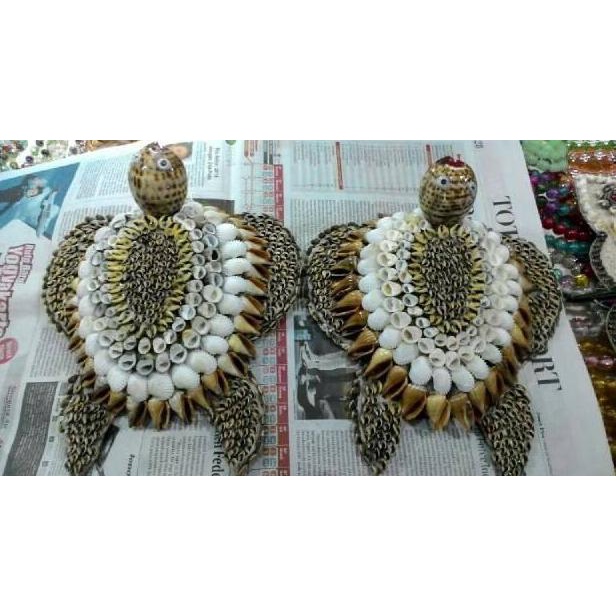 hanya disini] Hiasa Dinding kerang KuraKura