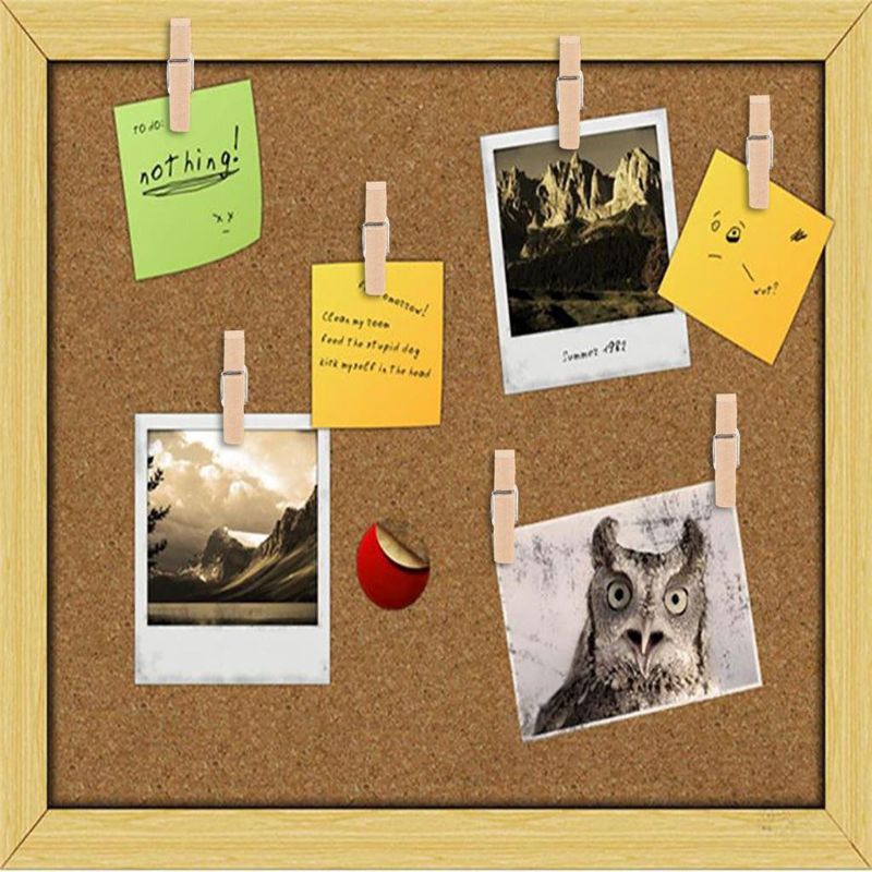 St 50 Pcs Pins Clips Tacks Clips Thumb Clips Wall Clips Pins Boards Cubicle Walls Art Projects Shopee Indonesia