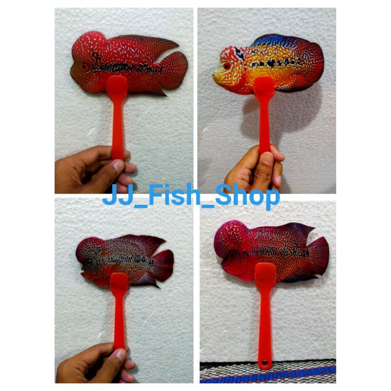 WAYANG IKAN/WAYANG UNTULAN LOUHAN MURAH