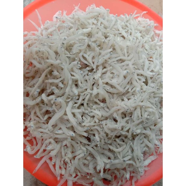 

Teri medan size S-Netto 1 kg