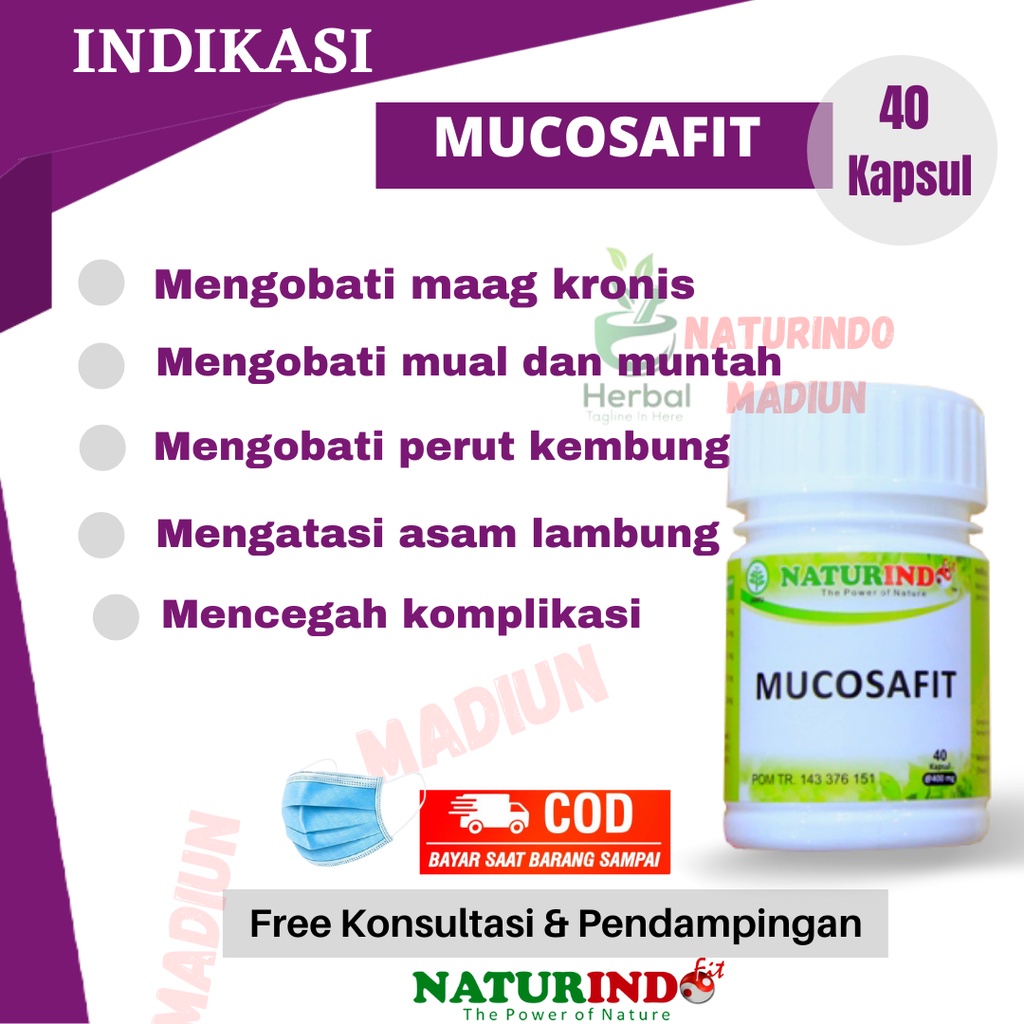 Obat Maag Magh Mah Mag Kronis Herbal Asam Lambung Kembung Mual Gerd Bau Mulut Diare Herbal BPOM Halal Mucosafit Naturindo-1