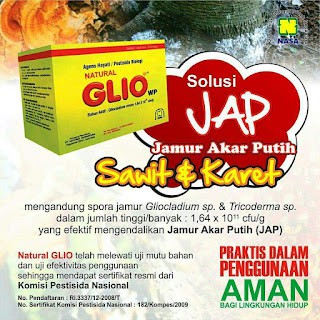 Promo NATURAL GLIO Pengendali Jamur Fusarium Penyebab Layu Tanaman 100 Gram /Fungisida Organik NASA / Obat Jamur Tanaman Hias / Obat Jamur Tanaman Buah / Obat Jamur Tanaman Cabe / Obat Jamur Akar Tanaman / Fusarium /Obat Jamur Akar Putih / Obat Layu