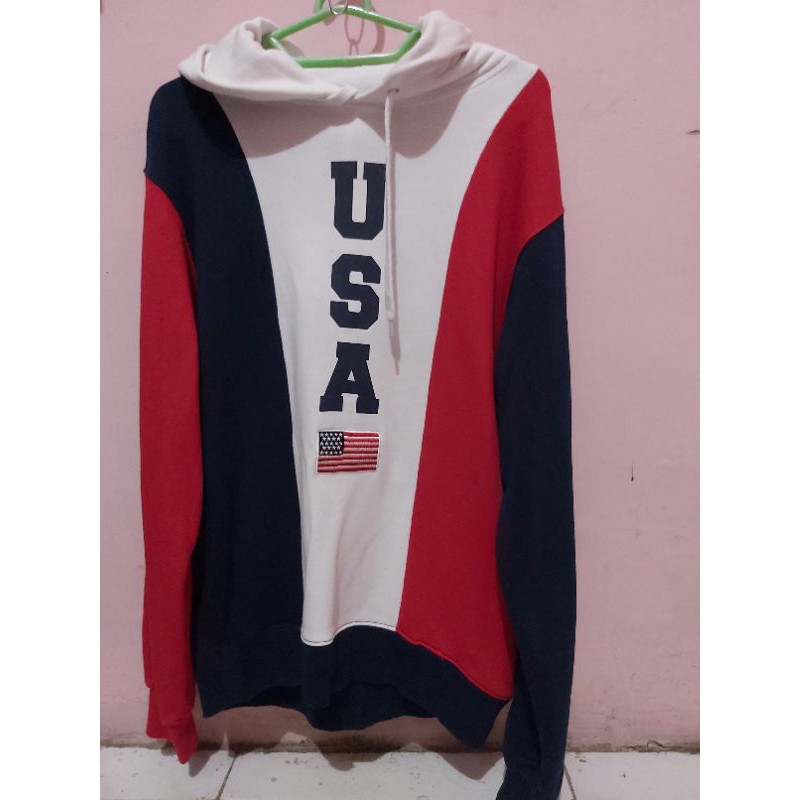 Hoodie Champion USA