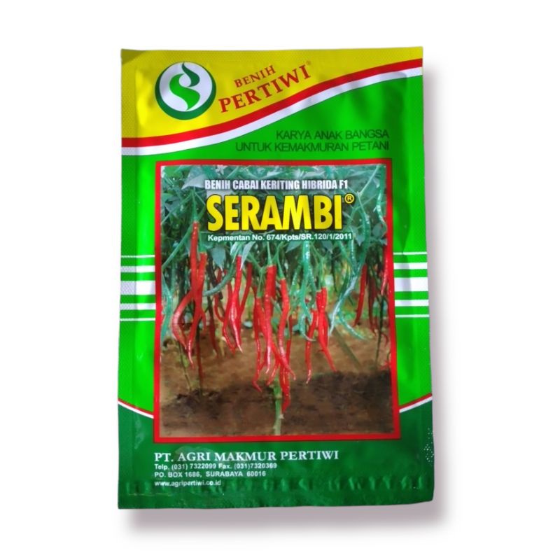 Benih Cabe Keriting Serambi