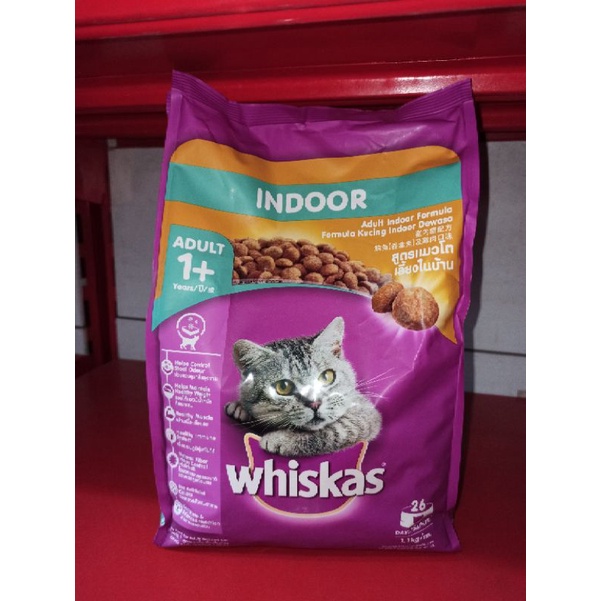 whiskas skin &amp; coat dan indoor 1,1kg whiskas makanan kering