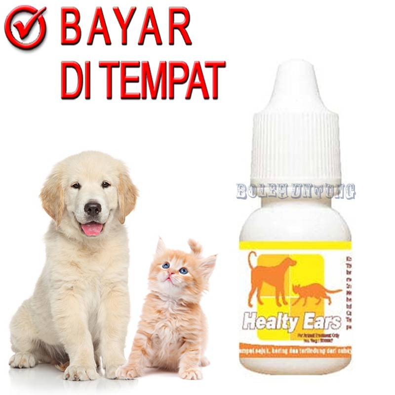 HEALTY EARS OBAT TETES TELINGA KUCING ANJING SAKIT KUPING