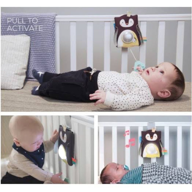 Taf Toys Prince The Penguin Baby Soother