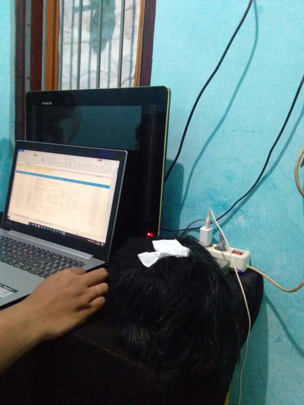 Cover Tissue Bulu Korea