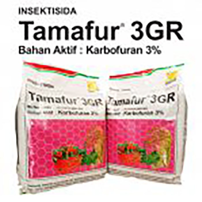 Basmi Ulat Wereng Penggerek Tamafur 3 GR 2 kg Karbofuran 3 %