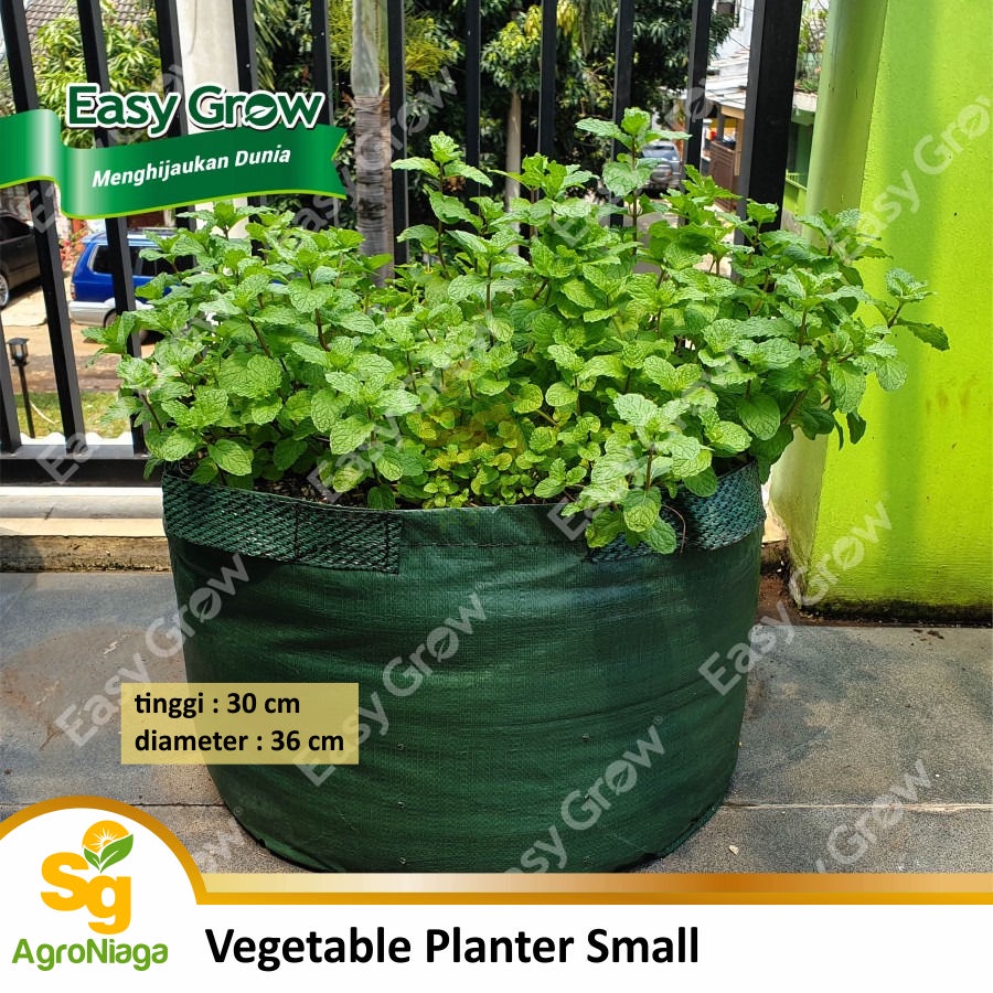 Vegetable Planter Bag Small Easy Grow Original