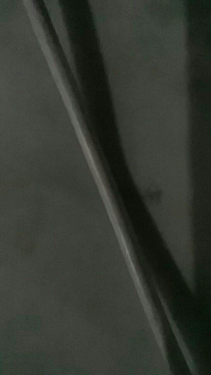 Sponge Spons Spon Pembersih Botol Gelas / Cleaner Sponge