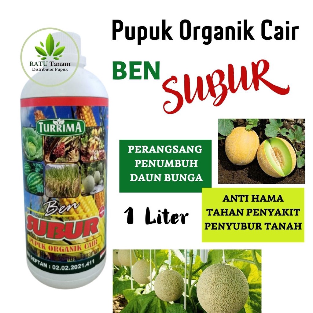 Pupuk Cair Zpt Pembesar Buah Melon, Pupuk BEN SUBUR Penyubur Tanah Pelebat Buah ANTI Hama Penyakit, 