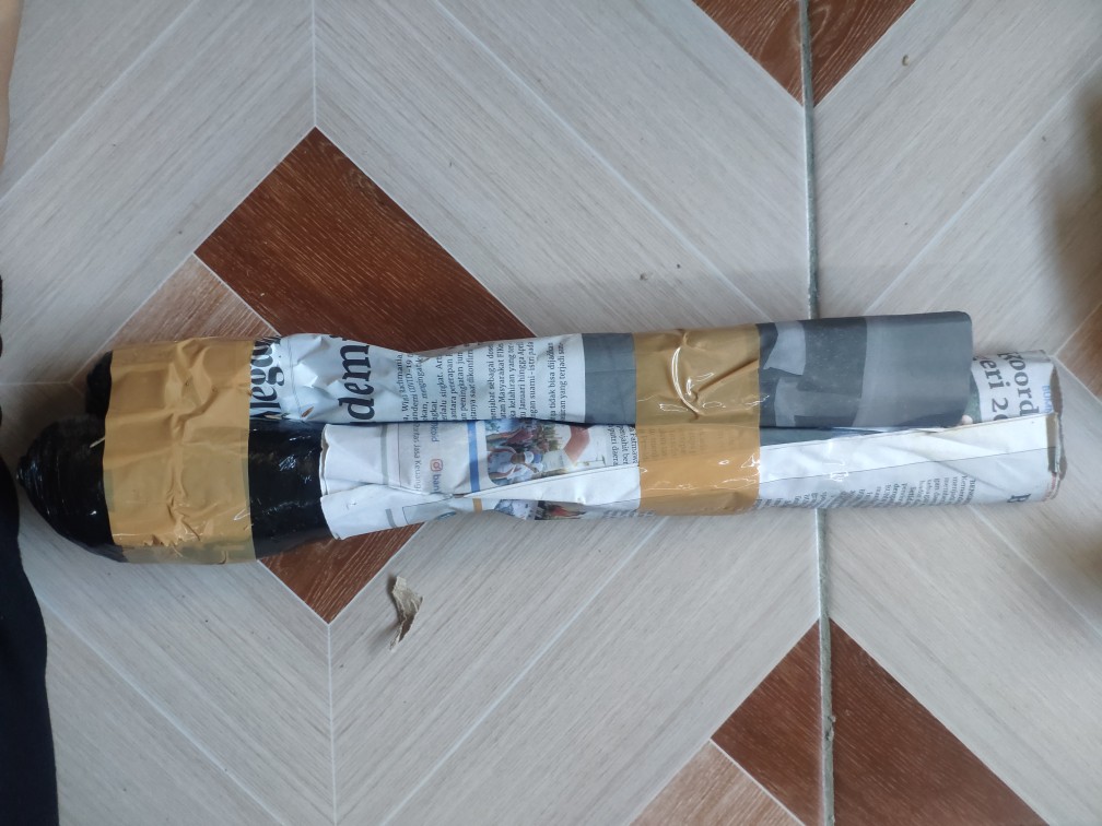 Tanaman Hias Calathea Angela Import