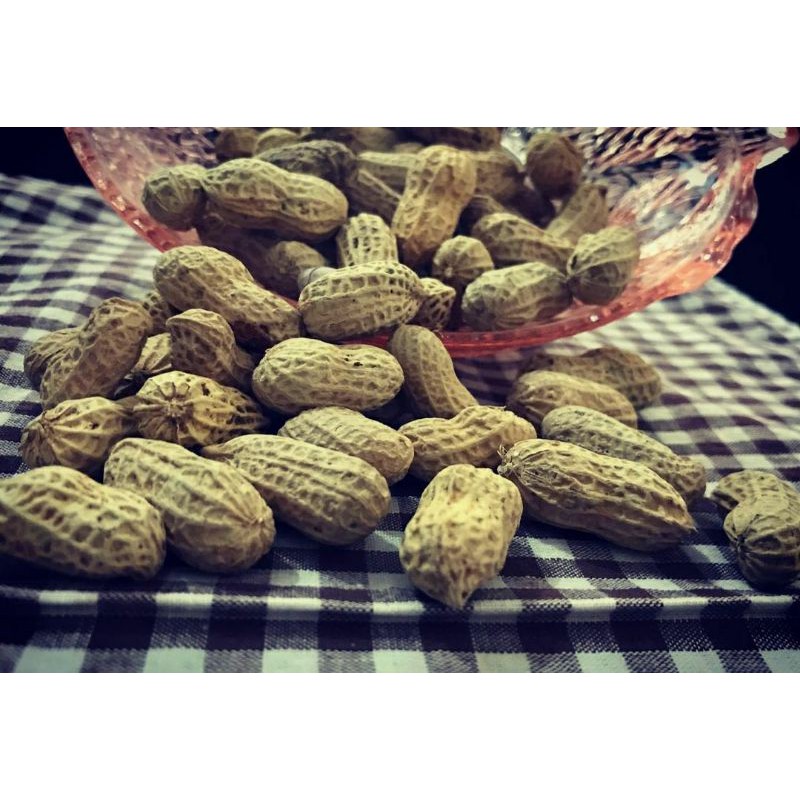 

kacang panggang murah enak