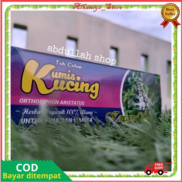 

Teh Batu Ginjal Lancar Kemih Asli Original Teh Celup Kumis Kucing Herbal Organik 100% Alami