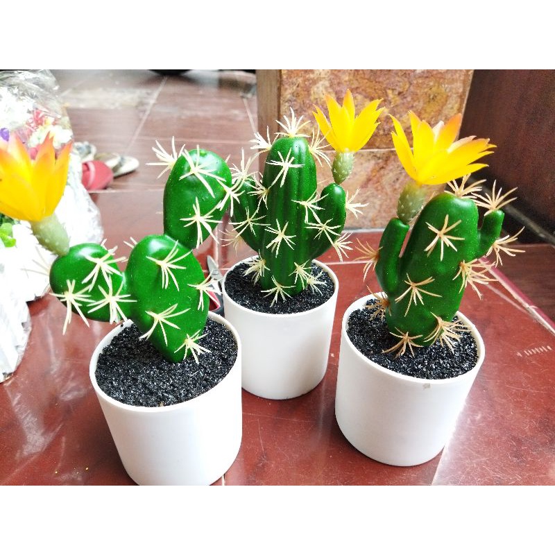 Tanaman pohon bunga kaktus hias plastik artificial murah cod