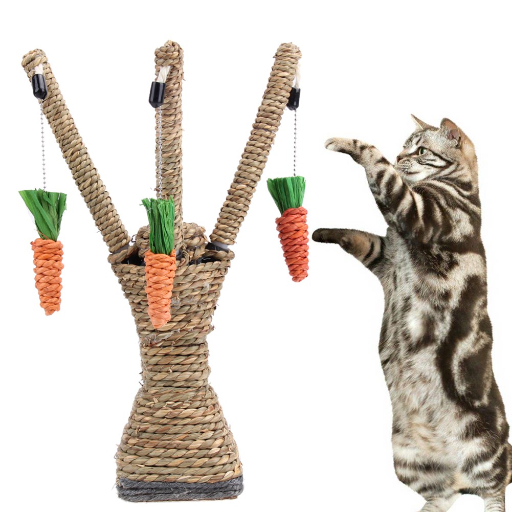  Mainan  Cakar  Pohon Interaktif untuk Kucing  Shopee Indonesia